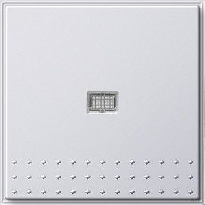 Gira 13666 Tast-Kontrollschalter komplett mit Wippe