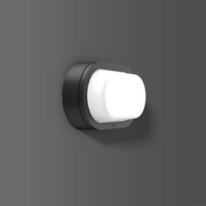 RZB 582061.0031.25 Wand-Deckenleuchte Alu-Lux Oval LED/8W