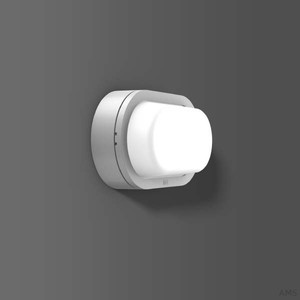 RZB 582061.004.25 Wand-Deckenleuchte Alu-Lux Oval LED/8W