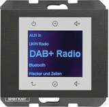 Berker Radio DAB+, K.x anth. 29847006